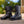 BRORA Womens Sheepskin Boots